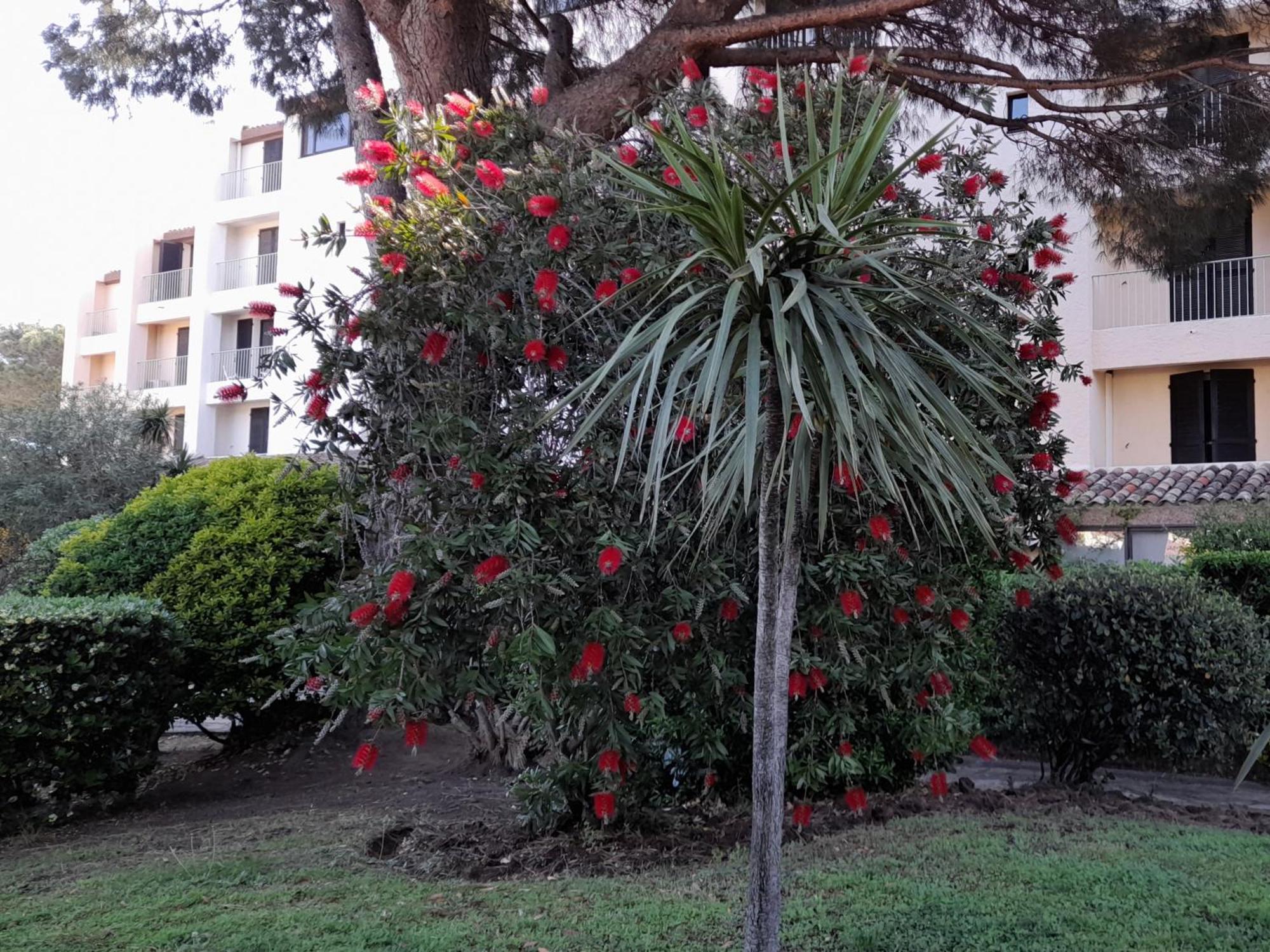 Appartement Marina Bella à Cogolin Extérieur photo